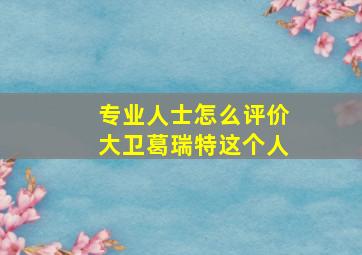 专业人士怎么评价大卫葛瑞特这个人