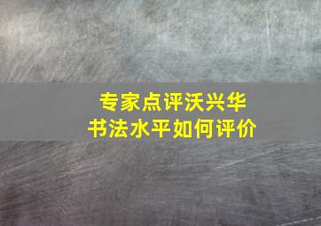 专家点评沃兴华书法水平如何评价