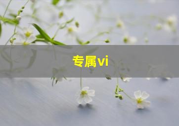 专属vi