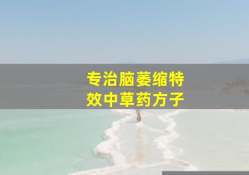 专治脑萎缩特效中草药方子