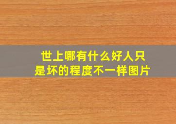 世上哪有什么好人只是坏的程度不一样图片