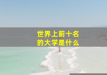 世界上前十名的大学是什么