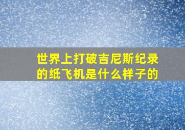 世界上打破吉尼斯纪录的纸飞机是什么样子的