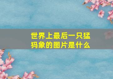 世界上最后一只猛犸象的图片是什么