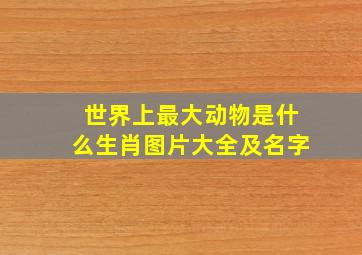 世界上最大动物是什么生肖图片大全及名字