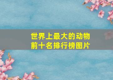 世界上最大的动物前十名排行榜图片