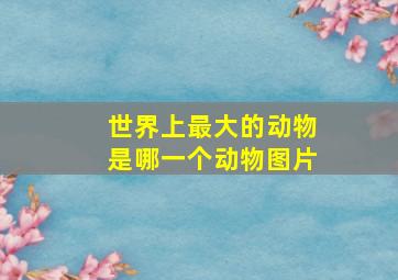 世界上最大的动物是哪一个动物图片