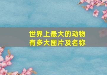 世界上最大的动物有多大图片及名称