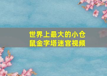 世界上最大的小仓鼠金字塔迷宫视频