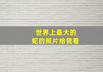 世界上最大的蛇的照片给我看