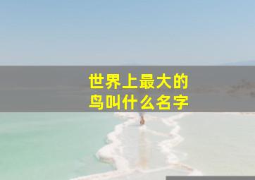 世界上最大的鸟叫什么名字