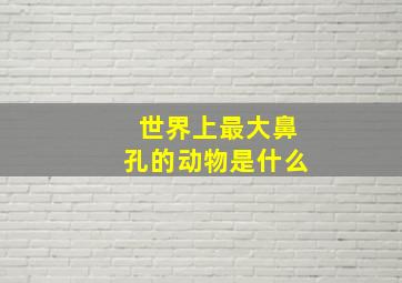 世界上最大鼻孔的动物是什么