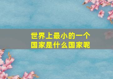 世界上最小的一个国家是什么国家呢