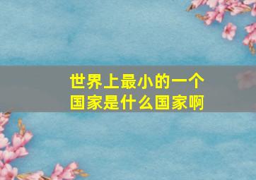 世界上最小的一个国家是什么国家啊