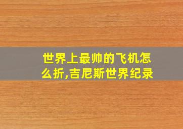 世界上最帅的飞机怎么折,吉尼斯世界纪录