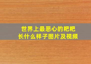 世界上最恶心的粑粑长什么样子图片及视频