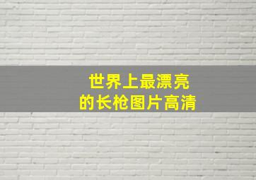 世界上最漂亮的长枪图片高清