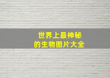 世界上最神秘的生物图片大全