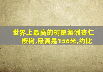 世界上最高的树是澳洲杏仁桉树,最高是156米,约比