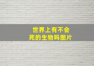 世界上有不会死的生物吗图片