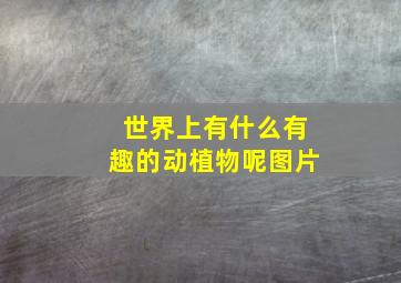 世界上有什么有趣的动植物呢图片