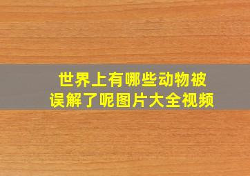 世界上有哪些动物被误解了呢图片大全视频