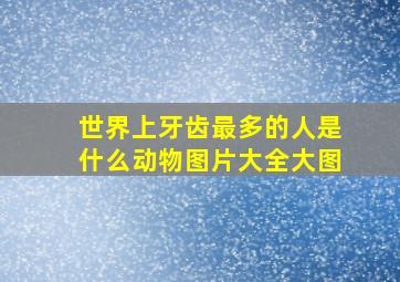 世界上牙齿最多的人是什么动物图片大全大图