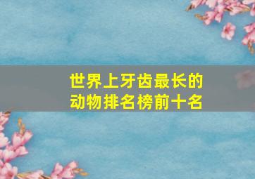 世界上牙齿最长的动物排名榜前十名