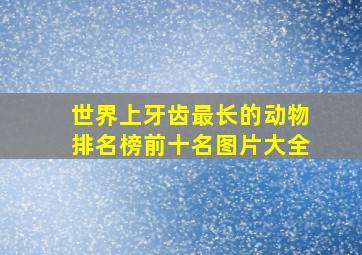 世界上牙齿最长的动物排名榜前十名图片大全