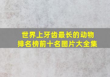 世界上牙齿最长的动物排名榜前十名图片大全集