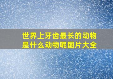 世界上牙齿最长的动物是什么动物呢图片大全