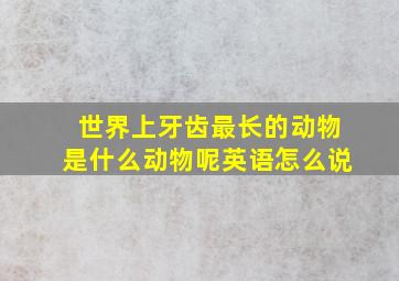 世界上牙齿最长的动物是什么动物呢英语怎么说