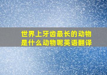 世界上牙齿最长的动物是什么动物呢英语翻译