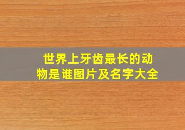 世界上牙齿最长的动物是谁图片及名字大全