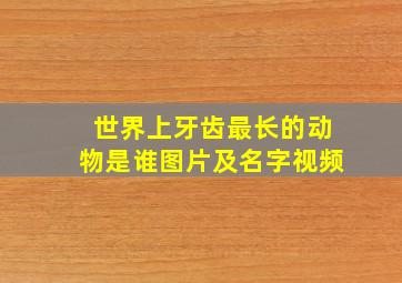 世界上牙齿最长的动物是谁图片及名字视频