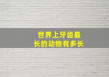 世界上牙齿最长的动物有多长