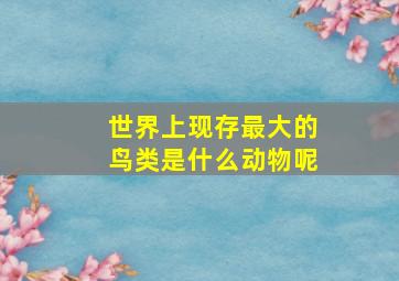 世界上现存最大的鸟类是什么动物呢