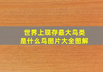 世界上现存最大鸟类是什么鸟图片大全图解