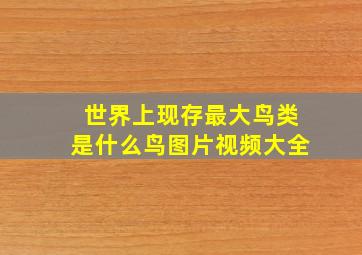 世界上现存最大鸟类是什么鸟图片视频大全