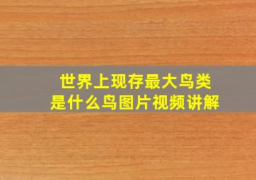 世界上现存最大鸟类是什么鸟图片视频讲解