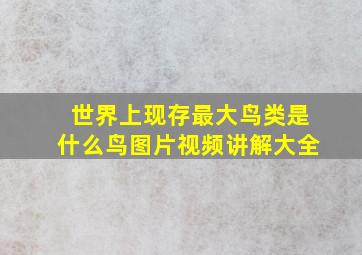 世界上现存最大鸟类是什么鸟图片视频讲解大全