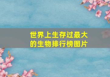 世界上生存过最大的生物排行榜图片