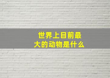 世界上目前最大的动物是什么