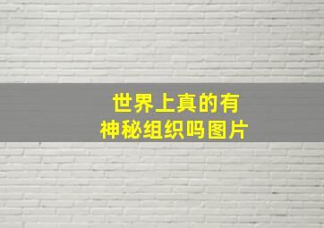 世界上真的有神秘组织吗图片