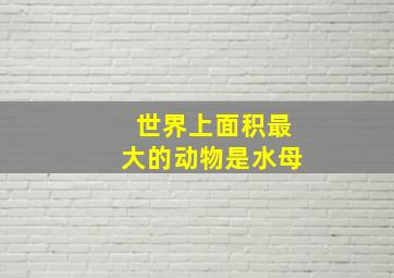 世界上面积最大的动物是水母