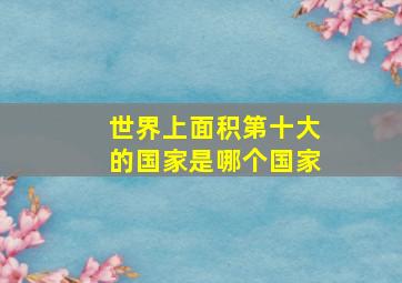 世界上面积第十大的国家是哪个国家