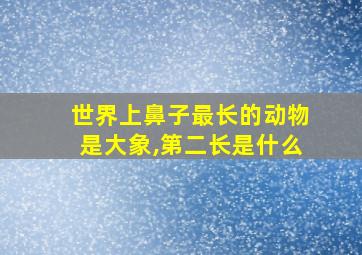 世界上鼻子最长的动物是大象,第二长是什么