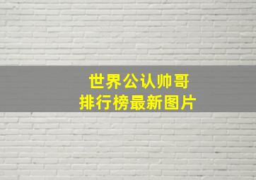 世界公认帅哥排行榜最新图片