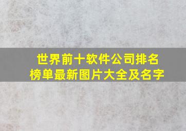 世界前十软件公司排名榜单最新图片大全及名字