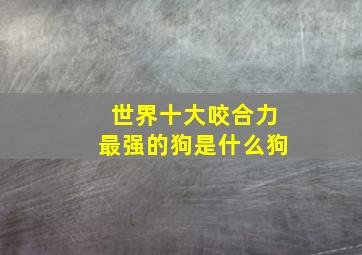 世界十大咬合力最强的狗是什么狗